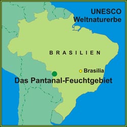 Der geschützte Bereich des Feuchtgebietes Pantanal ist UNESCO Weltnaturerbe